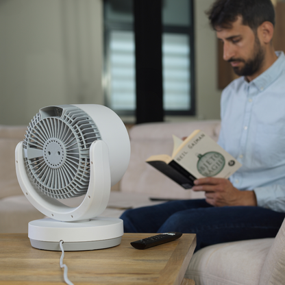 Smart Fan 